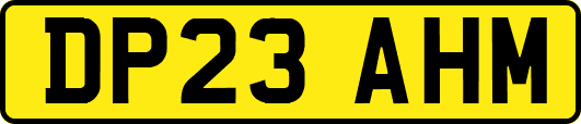 DP23AHM