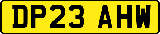 DP23AHW