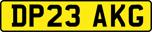 DP23AKG
