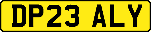DP23ALY