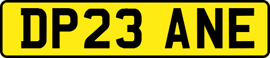 DP23ANE