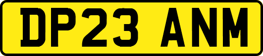 DP23ANM