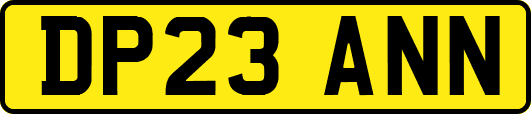 DP23ANN