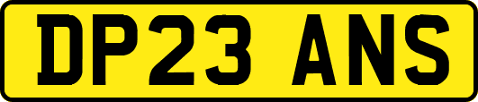 DP23ANS