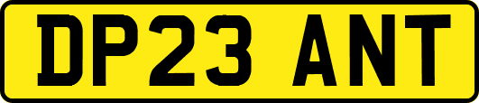 DP23ANT