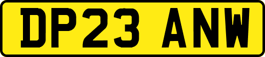 DP23ANW