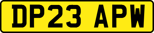 DP23APW