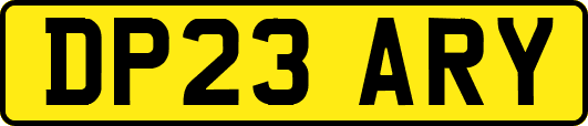 DP23ARY