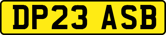 DP23ASB