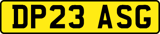 DP23ASG
