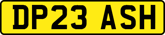 DP23ASH