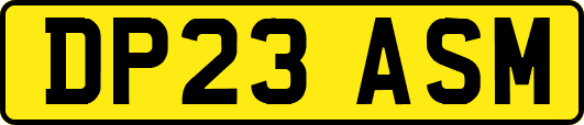 DP23ASM