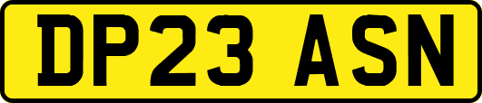 DP23ASN