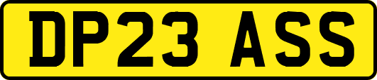 DP23ASS