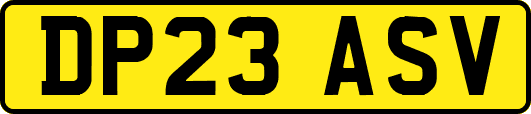 DP23ASV