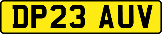 DP23AUV