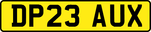 DP23AUX