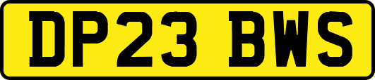 DP23BWS