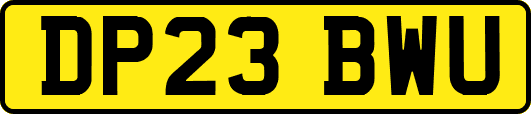 DP23BWU