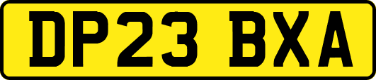 DP23BXA