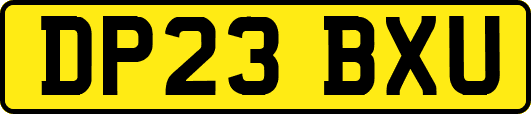 DP23BXU