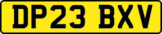 DP23BXV