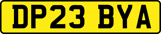 DP23BYA