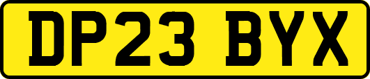 DP23BYX