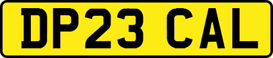 DP23CAL