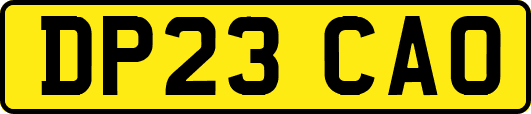 DP23CAO