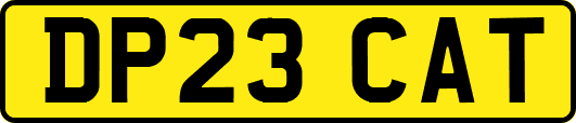 DP23CAT