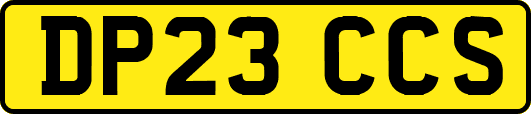 DP23CCS