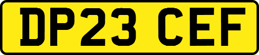 DP23CEF