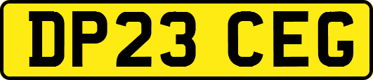 DP23CEG