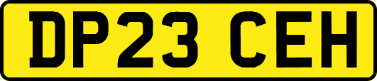 DP23CEH
