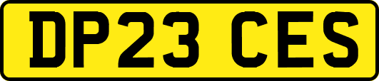 DP23CES