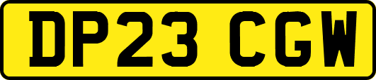 DP23CGW