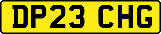 DP23CHG