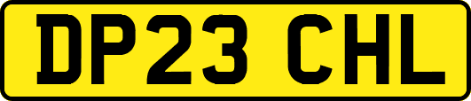 DP23CHL