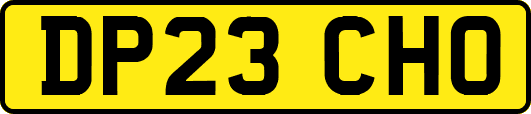 DP23CHO