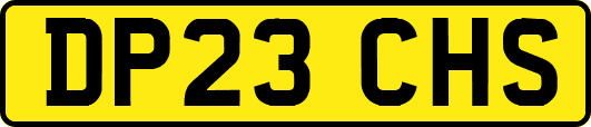 DP23CHS