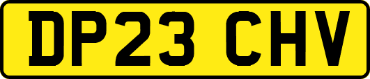 DP23CHV