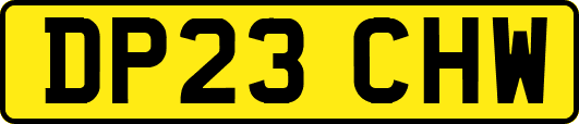DP23CHW