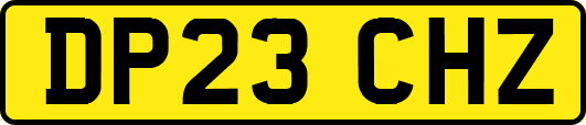 DP23CHZ