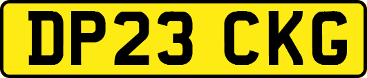 DP23CKG