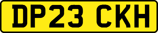 DP23CKH