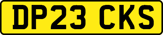 DP23CKS