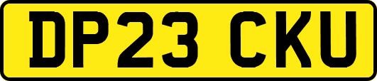 DP23CKU