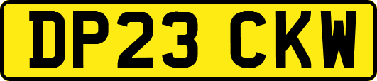 DP23CKW