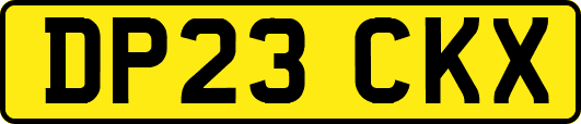DP23CKX